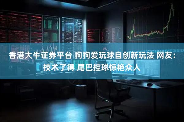 香港大牛证券平台 狗狗爱玩球自创新玩法 网友：技术了得 尾巴控球惊艳众人