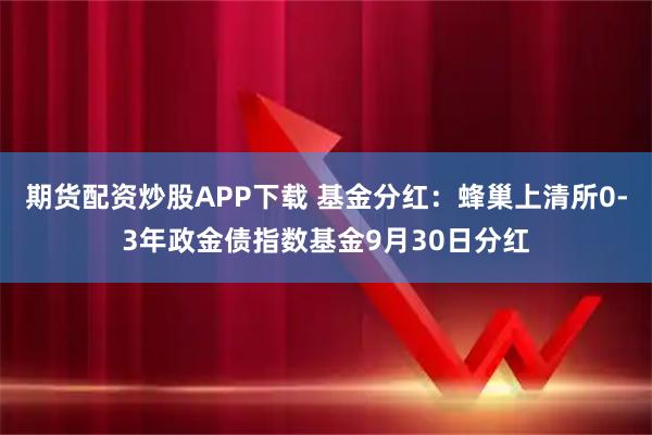 期货配资炒股APP下载 基金分红：蜂巢上清所0-3年政金债指数基金9月30日分红