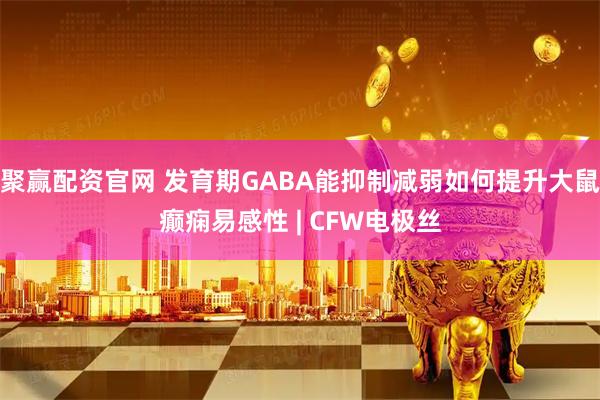 聚赢配资官网 发育期GABA能抑制减弱如何提升大鼠癫痫易感性 | CFW电极丝