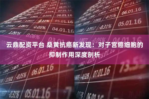 云鼎配资平台 桑黄抗癌新发现：对子宫癌细胞的抑制作用深度剖析